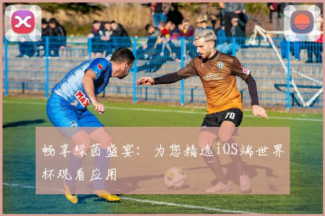 畅享绿茵盛宴：为您精选iOS端世界杯观看应用