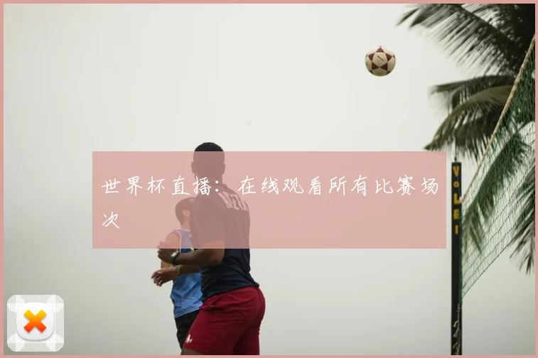 世界杯直播：在线观看所有比赛场次