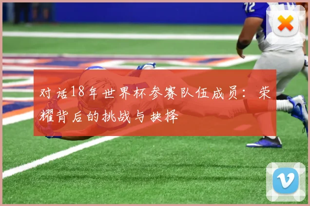 对话18年世界杯参赛队伍成员:荣耀背后的挑战与抉择
