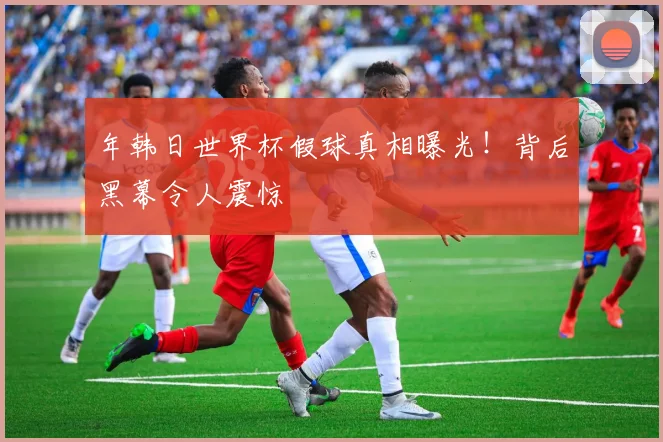 年韩日世界杯假球真相曝光!背后黑幕令人震惊