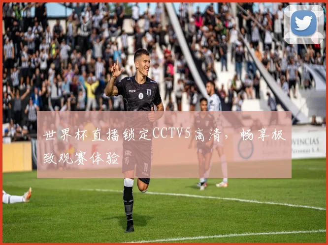 世界杯直播锁定CCTV5高清，畅享极致观赛体验